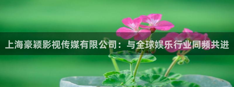 青苹果影院网站