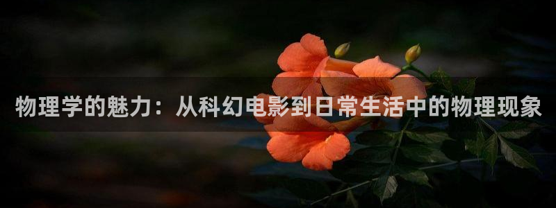 yy8090新视觉青苹果影院