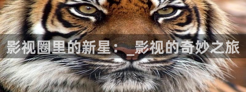 青苹果电影在线看