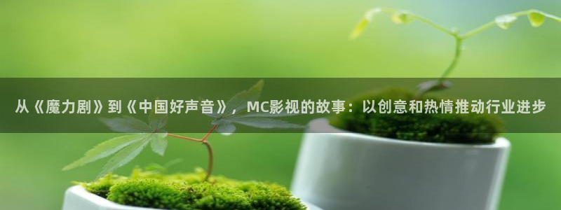 新视觉青苹果乐园6080：从《魔力剧》到《中国好声音》，MC影视的故事：以创意和热情推动行业进步
