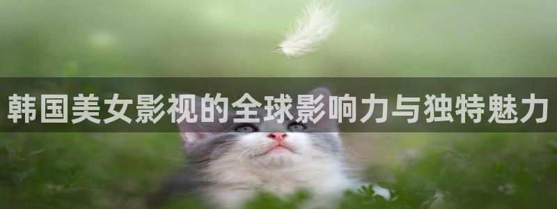 yy4480青苹果乐园免费播放电视剧6080