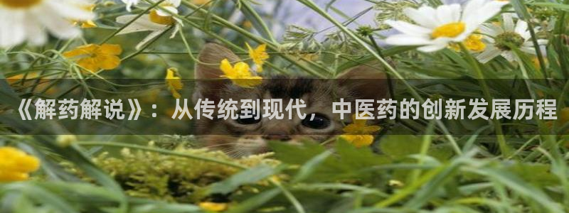 青苹果影院青苹果影院影院