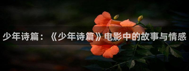 青苹果影院线：少年诗篇：《少年诗篇》电影中的故事与情感