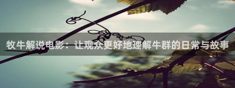 4408青苹果影院：牧牛解说电影：让观众更好地理解牛群的日常与故事