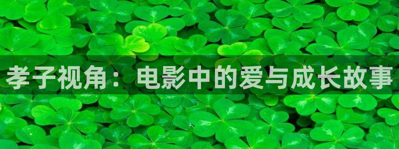 94yy青苹果影院：孝子视角：电影中的爱与成长故事