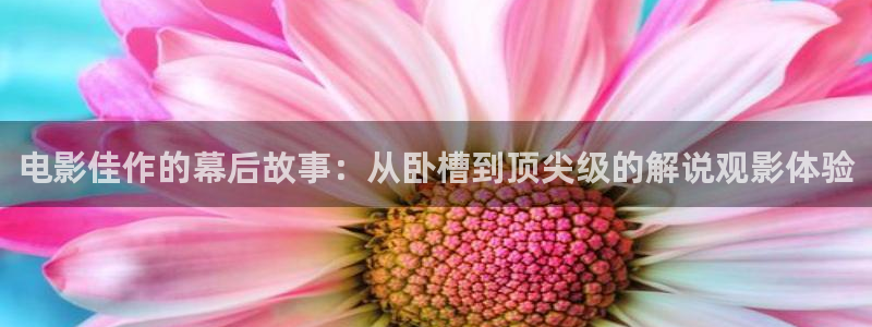 青苹果乐园高清免费播放电视剧大全：电影佳作的幕后故事：从卧槽到顶尖级的解说观影体验