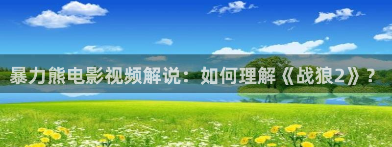 青苹果4480影院：暴力熊电影视频解说：如何理解《战狼2》？