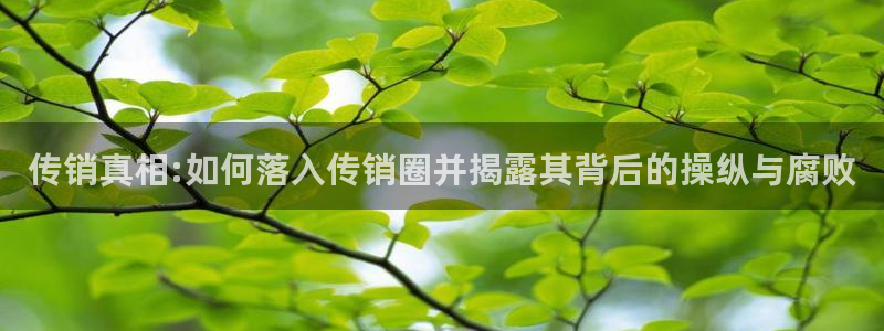 yy4408青苹果影院高清：传销真相:如何落入传销圈并揭露其背后的操纵与腐败