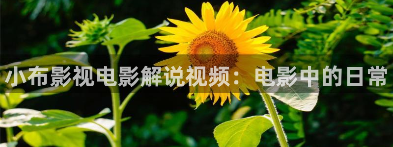 青苹果的图片：小布影视电影解说视频：电影中的日常