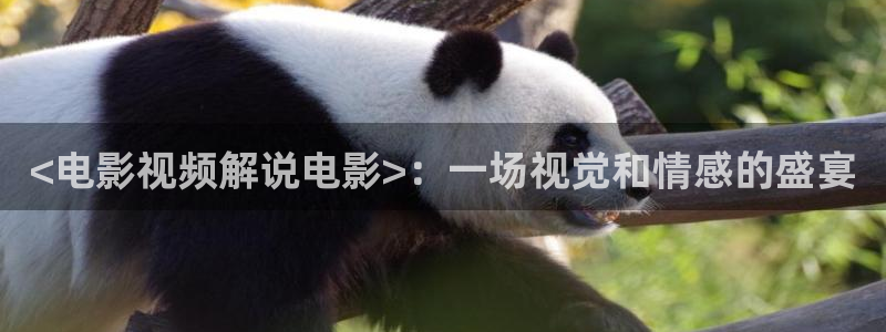 4480青苹果免费影视