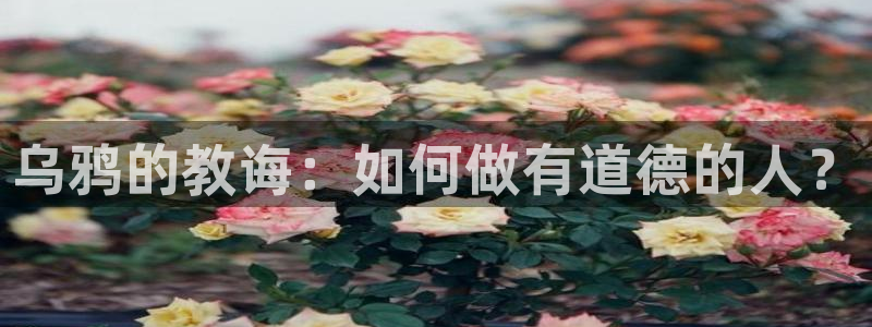 青苹果影院免费在线观看