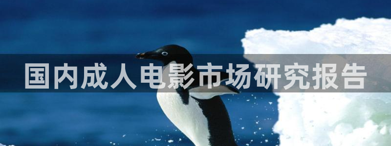 青苹果乐园在线高清免费观看电视剧