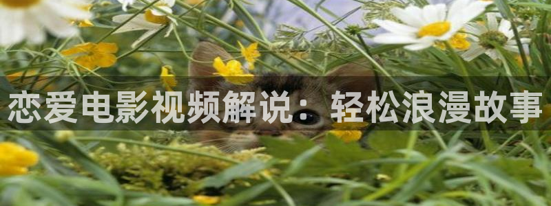 小草影视青苹果影院：恋爱电影视频解说：轻松浪漫故事