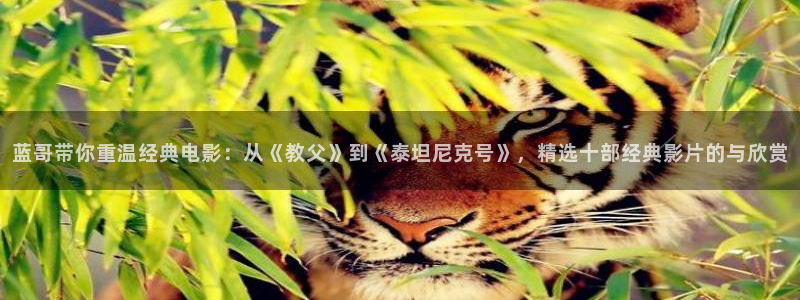 青苹果在线观看免费高清：蓝哥带你重温经典电影：从《教父》到《泰坦尼克号》，精选十部经典影片的与欣赏
