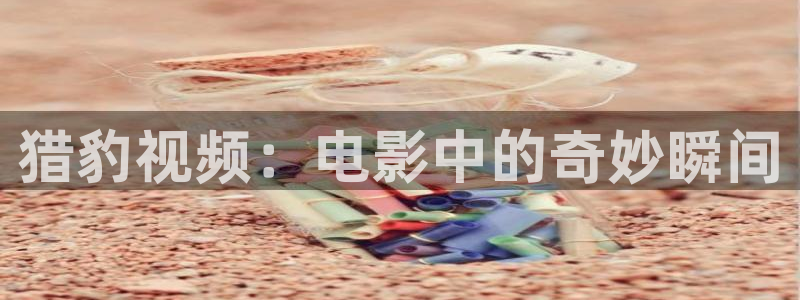 青苹果影院yy6090在线观看：猎豹视频：电影中的奇妙瞬间