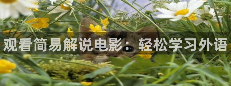 青苹果影视4480：观看简易解说电影：轻松学习外语