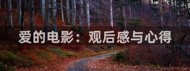 yy48o青苹果影院：爱的电影：观后感与心得