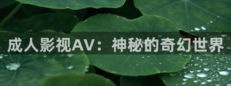 yy6080青苹果影院手机版免费高清：成人影视AV：神秘的奇幻世界