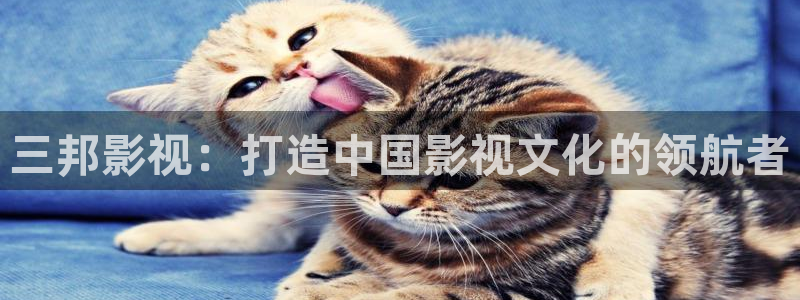 4480青苹果影院在线观看：三邦影视：打造中国影视文化的领航者