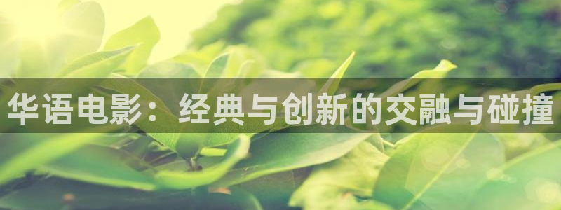 4410青苹果乐园电视剧高清在线观看：华语电影：经典与创新的交融与碰撞