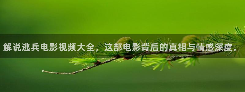 6090青苹果在线影院：解说逃兵电影视频大全，这部电影背后的真相与情感深度。
