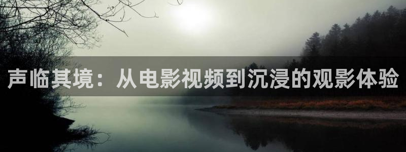 yy4480青苹果影院在线：声临其境：从电影视频到沉浸的观影体验