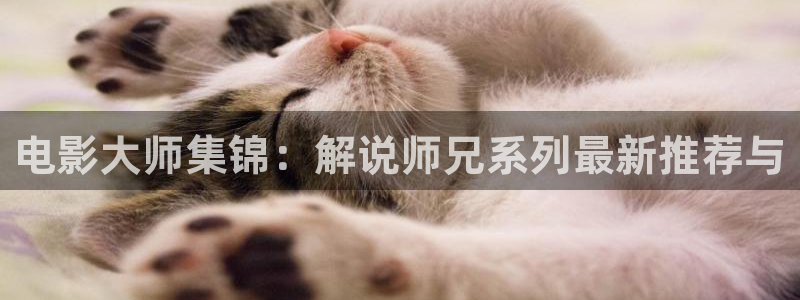青苹果乐园在线高清免费观看电视剧最新：电影大师集锦：解说师兄系列最新推荐与