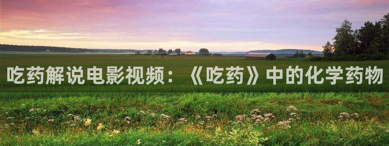 青苹果乐园影院电视剧在线免费：吃药解说电影视频：《吃药》中的化学药物