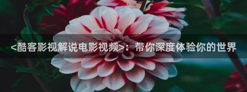 青苹果影视剧免费：<酷客影视解说电影视频>：带你深度体验你的世界