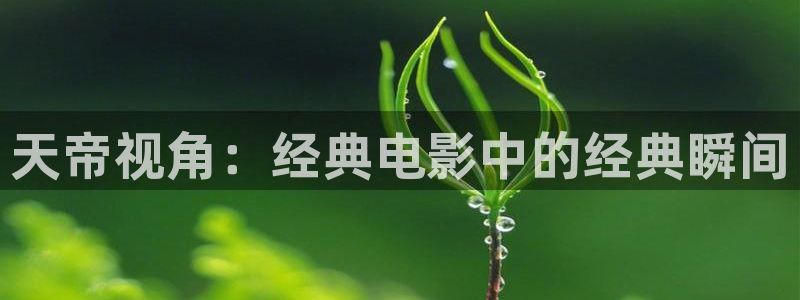 青苹果乐园在线观看免费影院电视剧：天帝视角：经典电影中的经典瞬间