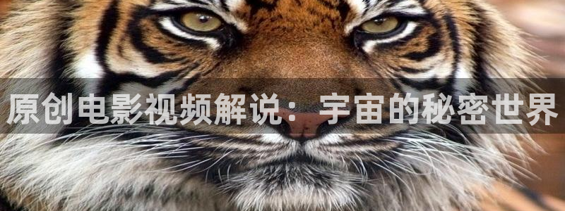yy4480青苹果：原创电影视频解说：宇宙的秘密世界