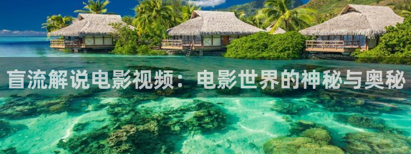 青苹果影院理论视频：盲流解说电影视频：电影世界的神秘与奥秘