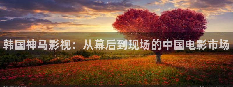ay44青苹果影院：韩国神马影视：从幕后到现场的中国电影市场