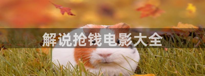 yy4480青苹果在线观看：解说抢钱电影大全