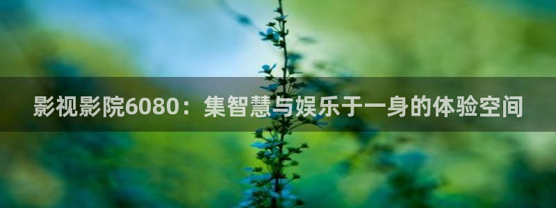 青苹果卫视：影视影院6080：集智慧与娱乐于一身的体验空间