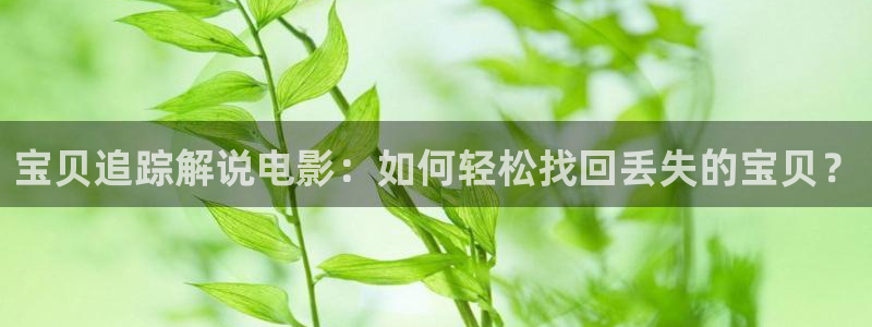 6090青苹果影：宝贝追踪解说电影：如何轻松找回丢失的宝贝？
