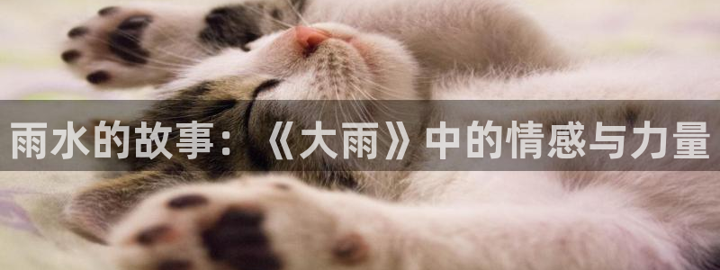 青苹果6080新视觉：雨水的故事：《大雨》中的情感与力量