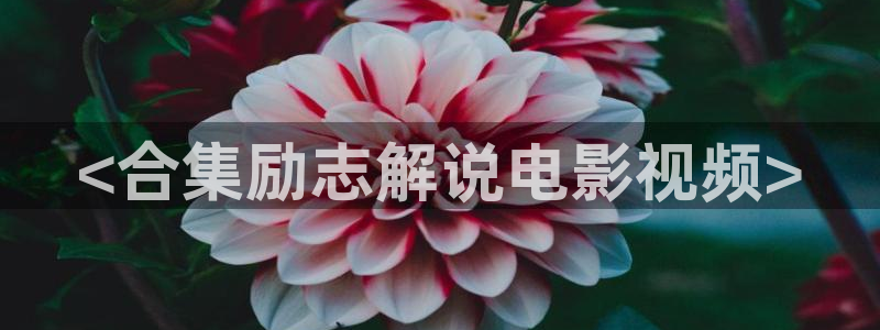 青苹果影院年轻的母亲：<合集励志解说电影视频>